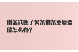 通化通化的要账公司在催收过程中的策略和技巧有哪些？